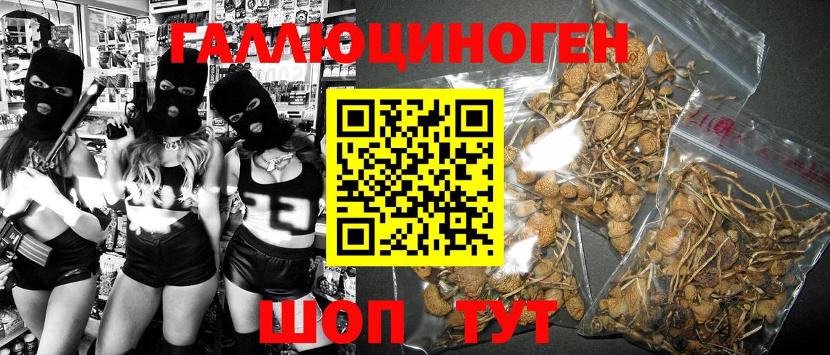Псилоцибиновые грибы GOLDEN TEACHER Луховицы